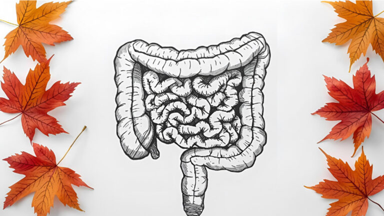 Le Gros Intestin : un allié en automne
